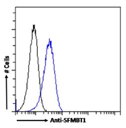 Invitrogen SFMBT1 Chimeric Recombinant Rabbit Monoclonal Antibody (RAB-C396) 200 &mu;g | Buy Online | Invitrogen&trade; | Fisher Scientific