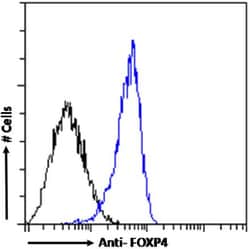 Invitrogen FOXP4 Chimeric Recombinant Rabbit Monoclonal Antibody (RAB-S40)