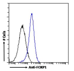 Invitrogen FOXP1 Chimeric Recombinant Rabbit Monoclonal Antibody (RAB-S37)