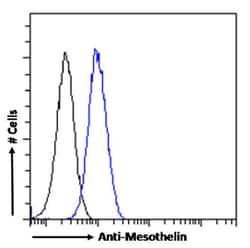 Invitrogen Mesothelin Chimeric Recombinant Rabbit Monoclonal Antibody (11-25)