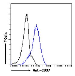 Invitrogen CD37 Chimeric Recombinant Rabbit Monoclonal Antibody (G28-1)