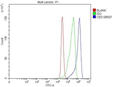Invitrogen CBS Monoclonal Antibody (5B5D7) 100 &mu;g; Unconjugated:Antibodies,