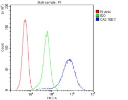 Invitrogen Carbonic Anhydrase II Monoclonal Antibody (10E11) 100 &mu;g;