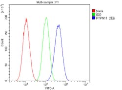 Invitrogen SHP2 Monoclonal Antibody (2E6) 100 &mu;g; Unconjugated:Antibodies,