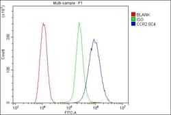 Invitrogen CCR2 Monoclonal Antibody (8C4) 100 &mu;g; Unconjugated:Antibodies,