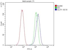 Invitrogen GLUT1 Monoclonal Antibody (10C10) 100 &mu;g; Unconjugated:Antibodies,