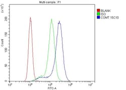 Invitrogen COMT Monoclonal Antibody (15C10) 100 &mu;g; Unconjugated:Antibodies,