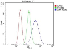 Invitrogen COMT Monoclonal Antibody (15C10) 100 &mu;g; Unconjugated:Antibodies,