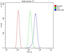 Invitrogen IDH2 Monoclonal Antibody (2D4) 100 &mu;g; Unconjugated:Antibodies,