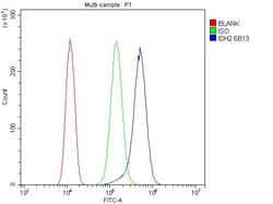 Invitrogen IDH2 Monoclonal Antibody (6B13) 100 &mu;g; Unconjugated:Antibodies,