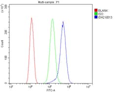 Invitrogen IDH2 Monoclonal Antibody (6B13) 100 &mu;g; Unconjugated:Antibodies,