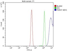 Invitrogen DJ-1 Monoclonal Antibody (4B10) 100 &mu;g; Unconjugated:Antibodies,