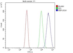 Invitrogen RBPJ Monoclonal Antibody (6G4) 100 &mu;g; Unconjugated:Antibodies,
