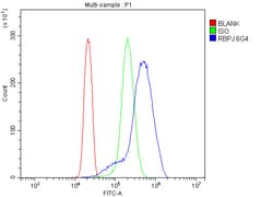Invitrogen RBPJ Monoclonal Antibody (6G4) 100 &mu;g; Unconjugated:Antibodies,