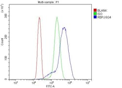 Invitrogen RBPJ Monoclonal Antibody (6G4) 100 &mu;g; Unconjugated:Antibodies,
