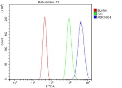 Invitrogen RBPJ Monoclonal Antibody (6G4) 100 &mu;g; Unconjugated:Antibodies,