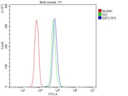Invitrogen EEF2 Monoclonal Antibody (5F5) 100 &mu;g; Unconjugated:Antibodies,