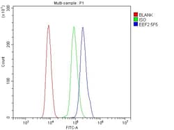 Invitrogen EEF2 Monoclonal Antibody (5F5) 100 &mu;g; Unconjugated:Antibodies,