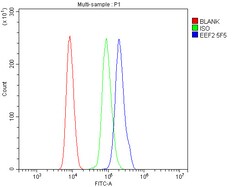 Invitrogen EEF2 Monoclonal Antibody (5F5) 100 &mu;g; Unconjugated:Antibodies,