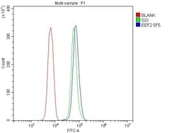 Invitrogen EEF2 Monoclonal Antibody (5F5) 100 &mu;g; Unconjugated:Antibodies,