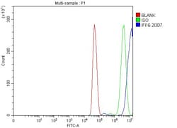 Invitrogen IFI16 Monoclonal Antibody (2I3D7) 100 &mu;g; Unconjugated:Antibodies,