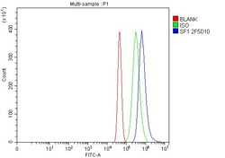 Invitrogen SF1 Monoclonal Antibody (2F5D10) 100 &mu;g; Unconjugated:Antibodies,