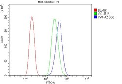 Invitrogen 14-3-3 zeta Monoclonal Antibody (6G5) 100 &mu;g; Unconjugated:Antibodies,