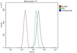 Invitrogen 14-3-3 zeta Monoclonal Antibody (6G5) 100 &mu;g; Unconjugated:Antibodies,