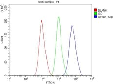 Invitrogen STUB1 Monoclonal Antibody (13I8) 100 &mu;g; Unconjugated:Antibodies,