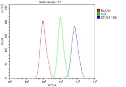 Invitrogen STUB1 Monoclonal Antibody (13I8) 100 &mu;g; Unconjugated:Antibodies,