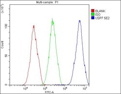 Invitrogen USP7 Monoclonal Antibody (5E2) 100 &mu;g; Unconjugated:Antibodies,