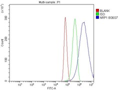 Invitrogen Neuropilin 1 Monoclonal Antibody (8G6G7) 100 &mu;g; Unconjugated:Antibodies,