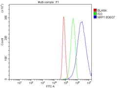 Invitrogen Neuropilin 1 Monoclonal Antibody (8G6G7) 100 &mu;g; Unconjugated:Antibodies,