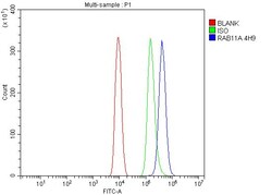 Invitrogen RAB11A Monoclonal Antibody (4H9) 100 &mu;g; Unconjugated:Antibodies,