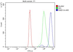Invitrogen RAB11A Monoclonal Antibody (4H9) 100 &mu;g; Unconjugated:Antibodies,