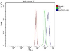 Invitrogen RAB11A Monoclonal Antibody (4H9) 100 &mu;g; Unconjugated:Antibodies,