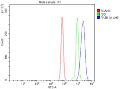Invitrogen RAB11A Monoclonal Antibody (4H9) 100 &mu;g; Unconjugated:Antibodies,