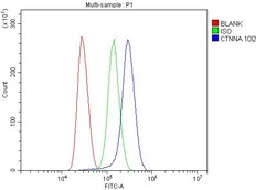 Invitrogen Catenin alpha-1 Monoclonal Antibody (10I2) 100 &mu;g; Unconjugated:Antibodies,
