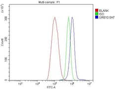 Invitrogen GRB10 Monoclonal Antibody (5H7) 100 &mu;g; Unconjugated:Antibodies,