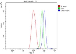Invitrogen GRB10 Monoclonal Antibody (5H7) 100 &mu;g; Unconjugated:Antibodies,