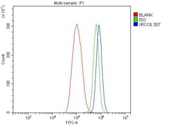 Invitrogen Ku70 Monoclonal Antibody (3D7) 100 &mu;g; Unconjugated:Antibodies,