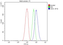 Invitrogen CES1 Monoclonal Antibody (3F10) 100 &mu;g; Unconjugated:Antibodies,