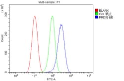 Invitrogen PRDX6 Monoclonal Antibody (6I8) 100 &mu;g; Unconjugated:Antibodies,