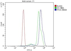 PP2A alpha Monoclonal Antibody (3B6), Invitrogen 100 &mu;g; Unconjugated:Antibodies,