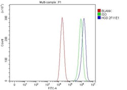 Invitrogen HGD Monoclonal Antibody (2F11E1) 100 &mu;g; Unconjugated:Antibodies,