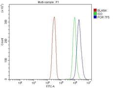Invitrogen Cytochrome P450 Reductase Monoclonal Antibody (7F5) 100 &mu;g;