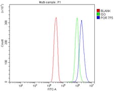 Invitrogen Cytochrome P450 Reductase Monoclonal Antibody (7F5) 100 &mu;g;