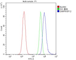 Invitrogen SNRPN Monoclonal Antibody (6F12) 100 &mu;g; Unconjugated:Antibodies,