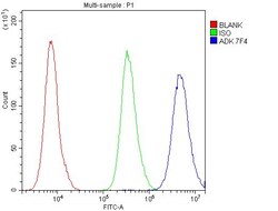 Invitrogen ADK Monoclonal Antibody (7F4) 100 &mu;g; Unconjugated:Antibodies,