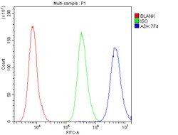 Invitrogen ADK Monoclonal Antibody (7F4) 100 &mu;g; Unconjugated:Antibodies,